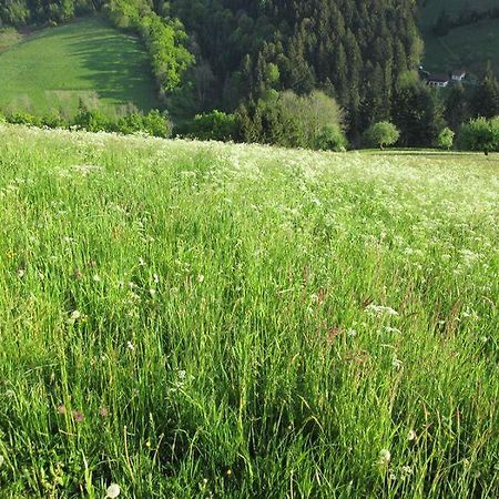 Hinterkimmighof Apartment Oberharmersbach Ngoại thất bức ảnh